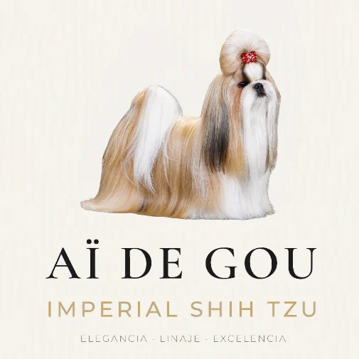 Aï de Gou Imperial Shih Tzu